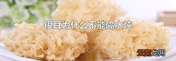 银耳为什么不能隔水炖