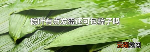 粽叶有点发霉还可包粽子吗