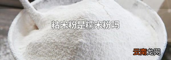 粘米粉是糯米粉吗
