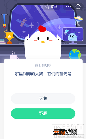 支付宝蚂蚁庄园5月15日答案 家里饲养的大鹅它们的祖先是