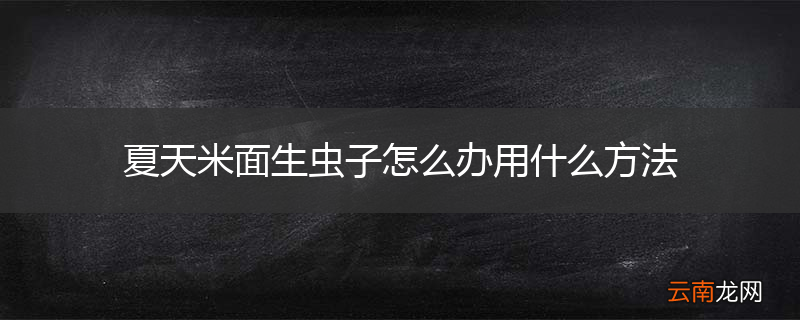 夏天米面生虫子怎么办用什么方法