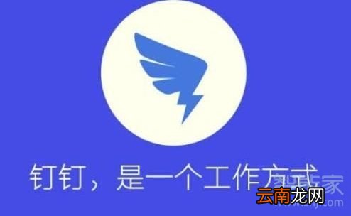 钉钉签到拍照如何使用相册中照片