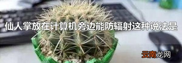 仙人掌放在计算机旁边能防辐射这种说法是