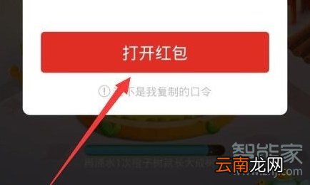 拼多多口令在哪里输入