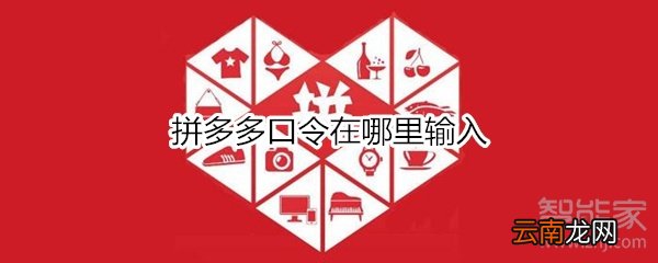 拼多多口令在哪里输入