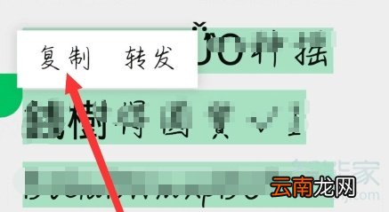 拼多多口令在哪里输入