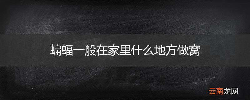 蝙蝠一般在家里什么地方做窝