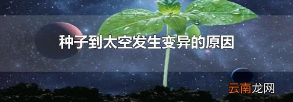 种子到太空发生变异的原因