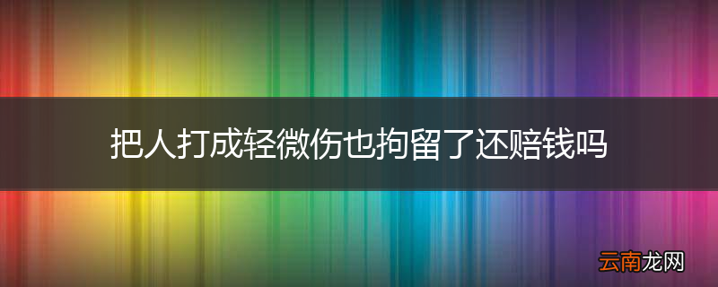 把人打成轻微伤也拘留了还赔钱吗