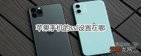 苹果手机的ssl设置在哪