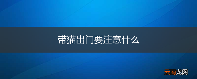 带猫出门要注意什么