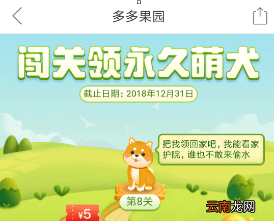 拼多多果园中养狗的操作方法