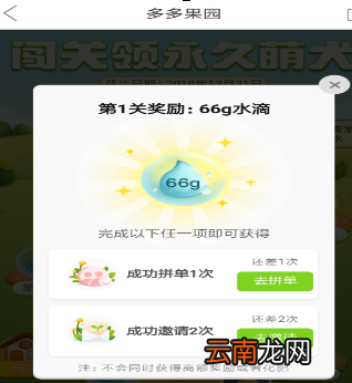 拼多多果园中养狗的操作方法