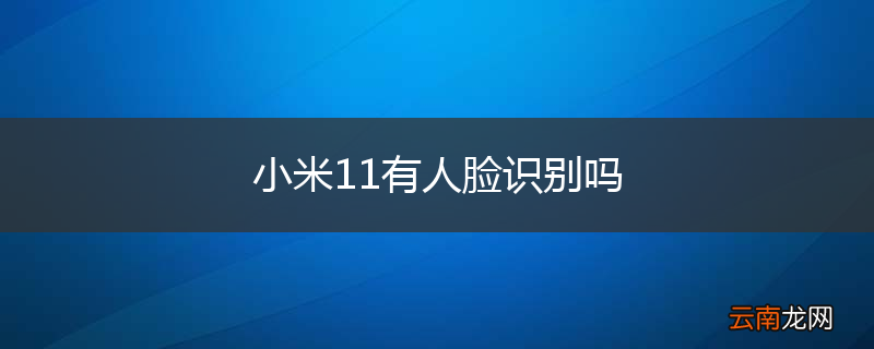 小米11有人脸识别吗