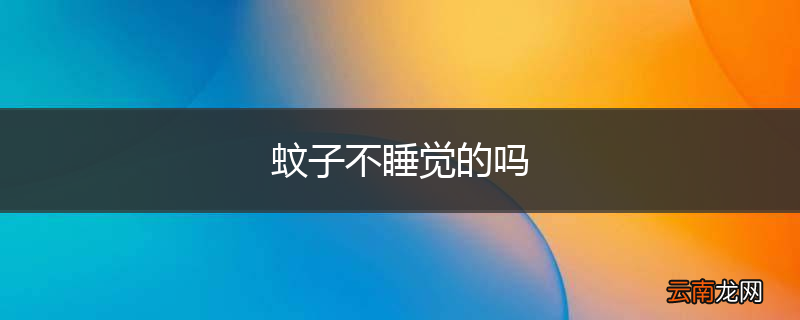 蚊子不睡觉的吗