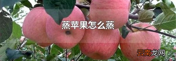 蒸苹果怎么蒸