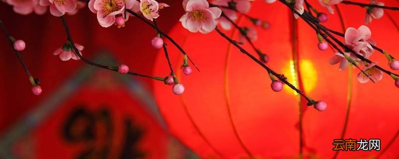 新年298谜底什么意思