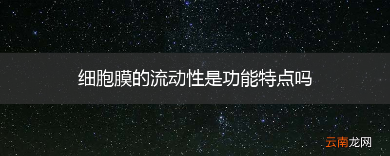 细胞膜的流动性是功能特点吗