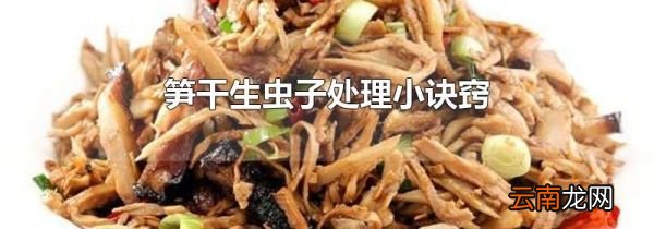 笋干生虫子处理小诀窍