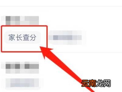 卓育云为什么查不了成绩