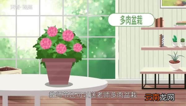 教师节送什么礼物 教师节送什么礼物合适