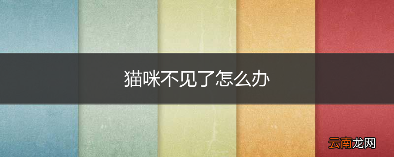 猫咪不见了怎么办