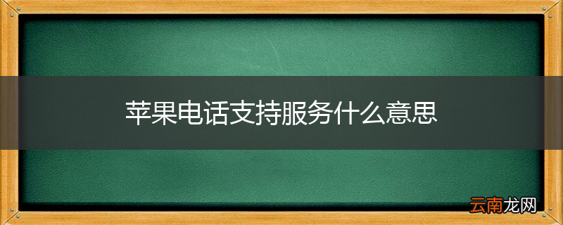 苹果电话支持服务什么意思