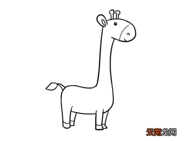可爱的长颈鹿宝宝简笔画