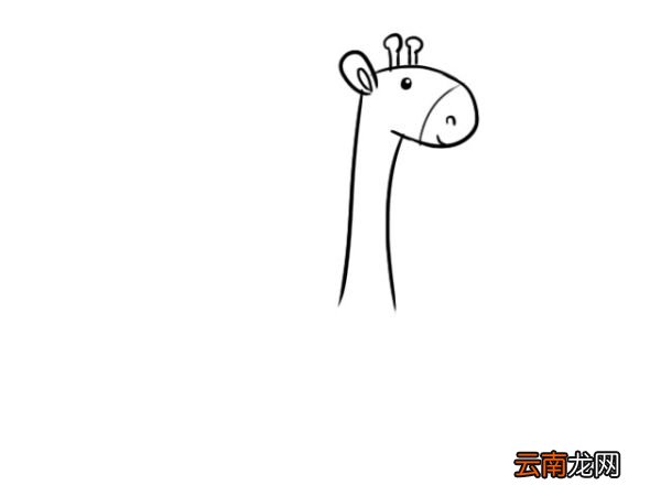 可爱的长颈鹿宝宝简笔画