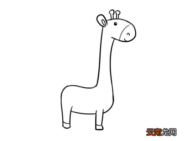 可爱的长颈鹿宝宝简笔画