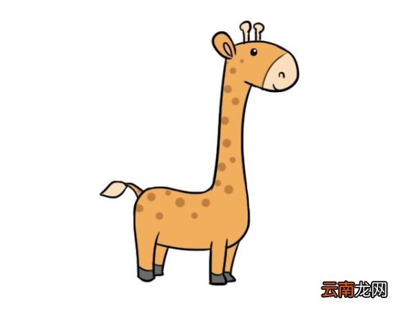 可爱的长颈鹿宝宝简笔画