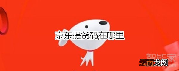 京东提货码在哪里