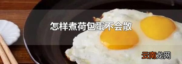 怎样煮荷包蛋不会散