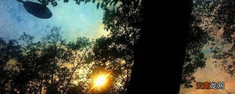 当往事浮现恍然如梦一场是什么意思