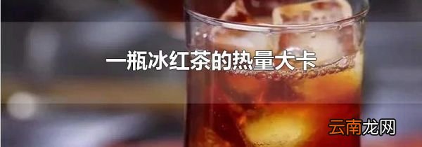 一瓶冰红茶的热量大卡