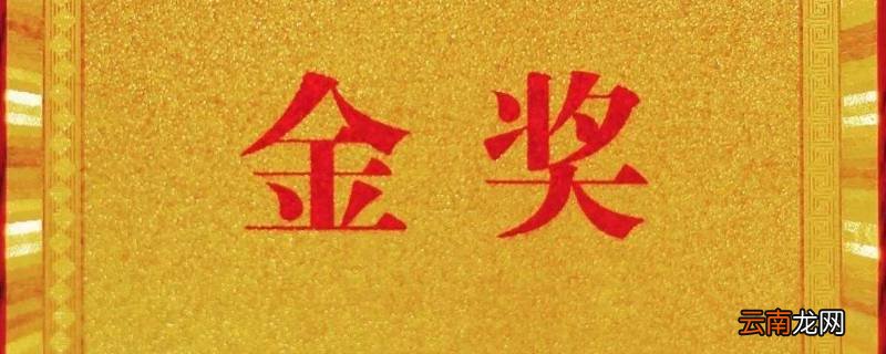 珠海个人志愿服务金奖怎么得来