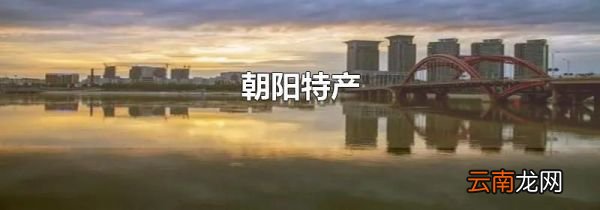 朝阳特产