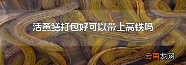 活黄鳝打包好可以带上高铁吗