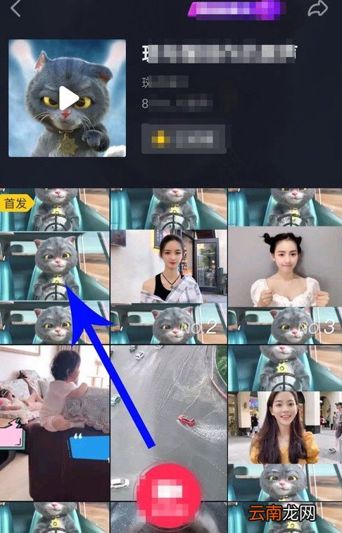 抖音斑布猫怎么合拍