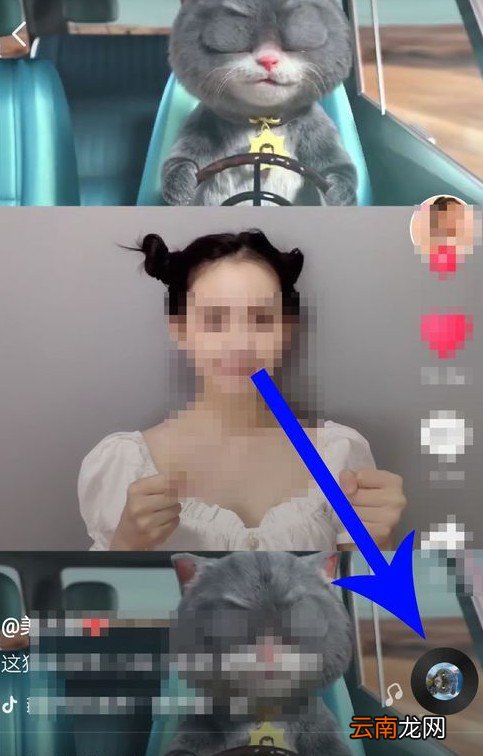 抖音斑布猫怎么合拍