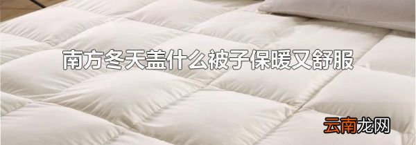 南方冬天盖什么被子保暖又舒服