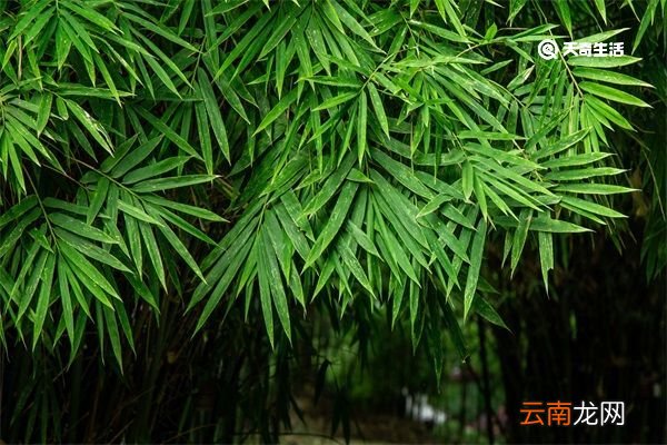 下雨的有意境的短句子 下雨的有意境的短句子说说
