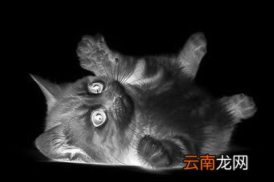 Photoshop制作素描效果详细操作流程