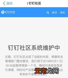 为什么钉钉发的表情看不到