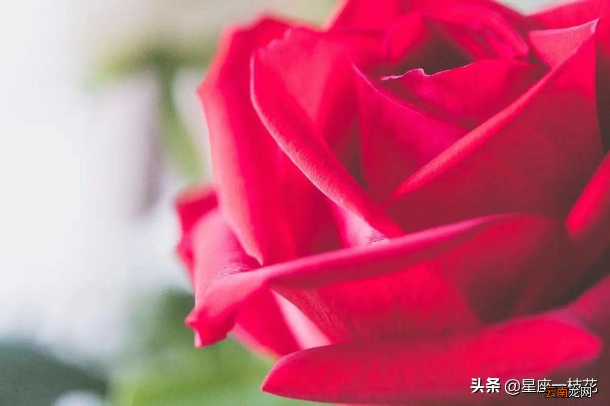 三个套路征服水瓶座并为你着迷 怎么搞定水瓶女生