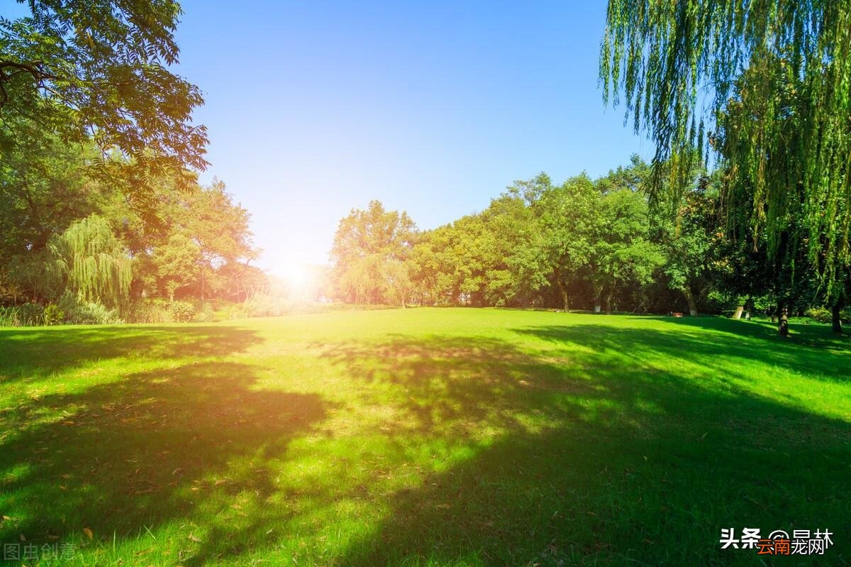 描写绿树阴浓夏日长的古诗 赞美绿树成荫的诗句唯美