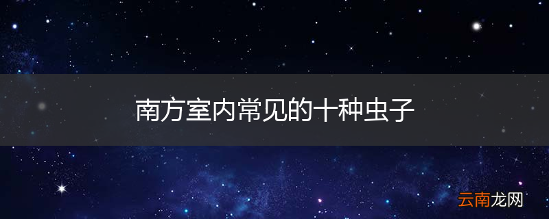 南方室内常见的十种虫子