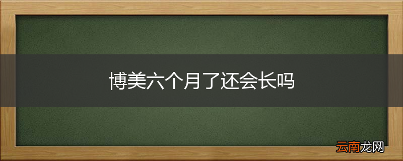博美六个月了还会长吗