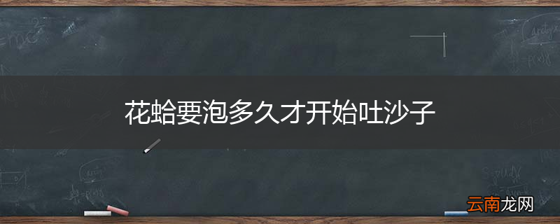 花蛤要泡多久才开始吐沙子