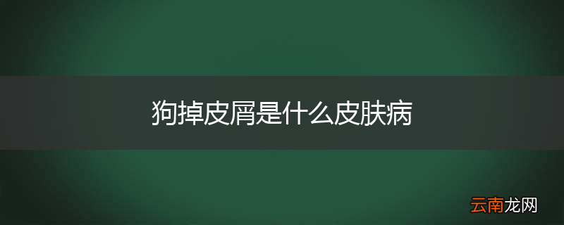 狗掉皮屑是什么皮肤病